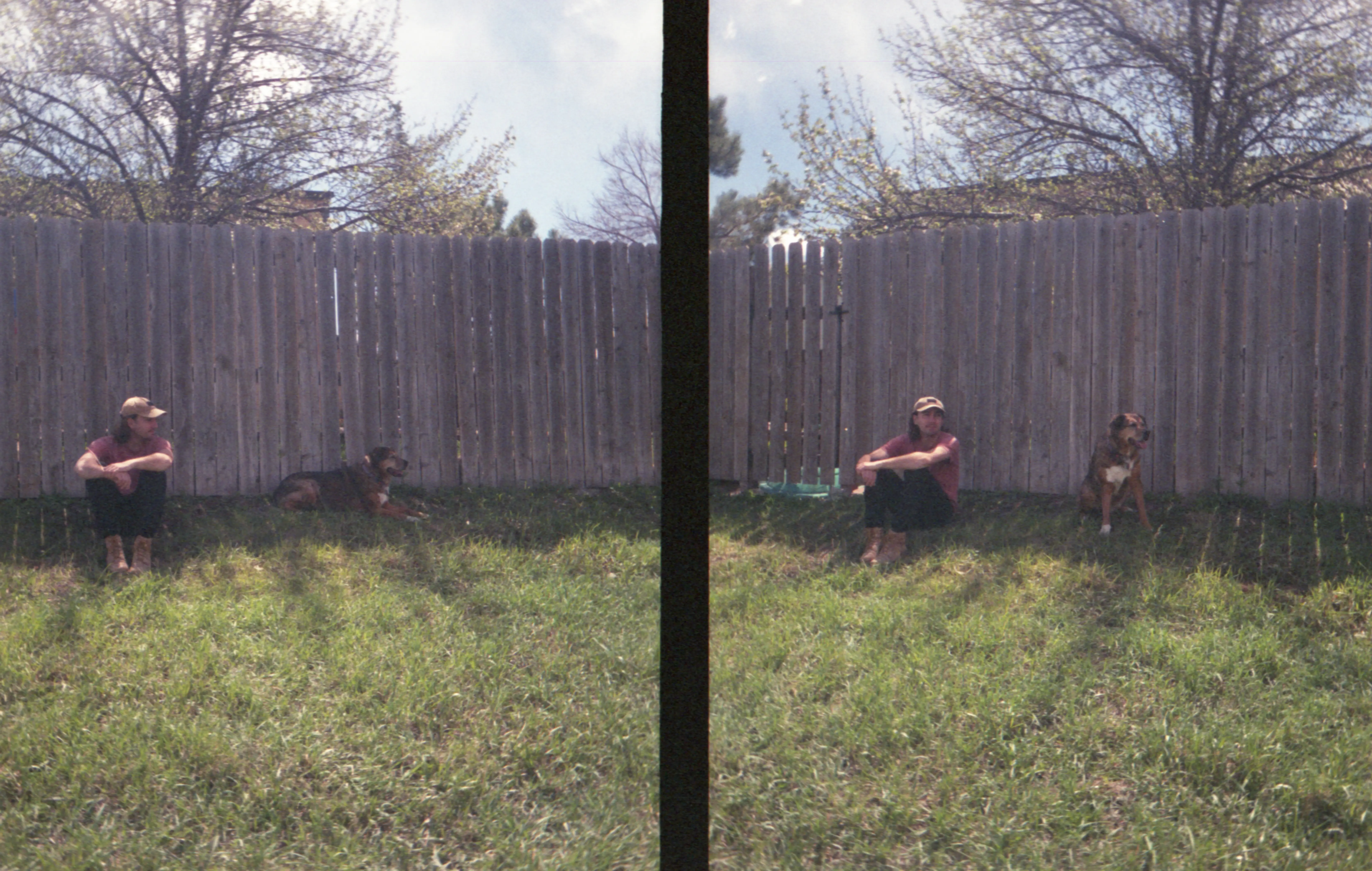 half Frame Dog