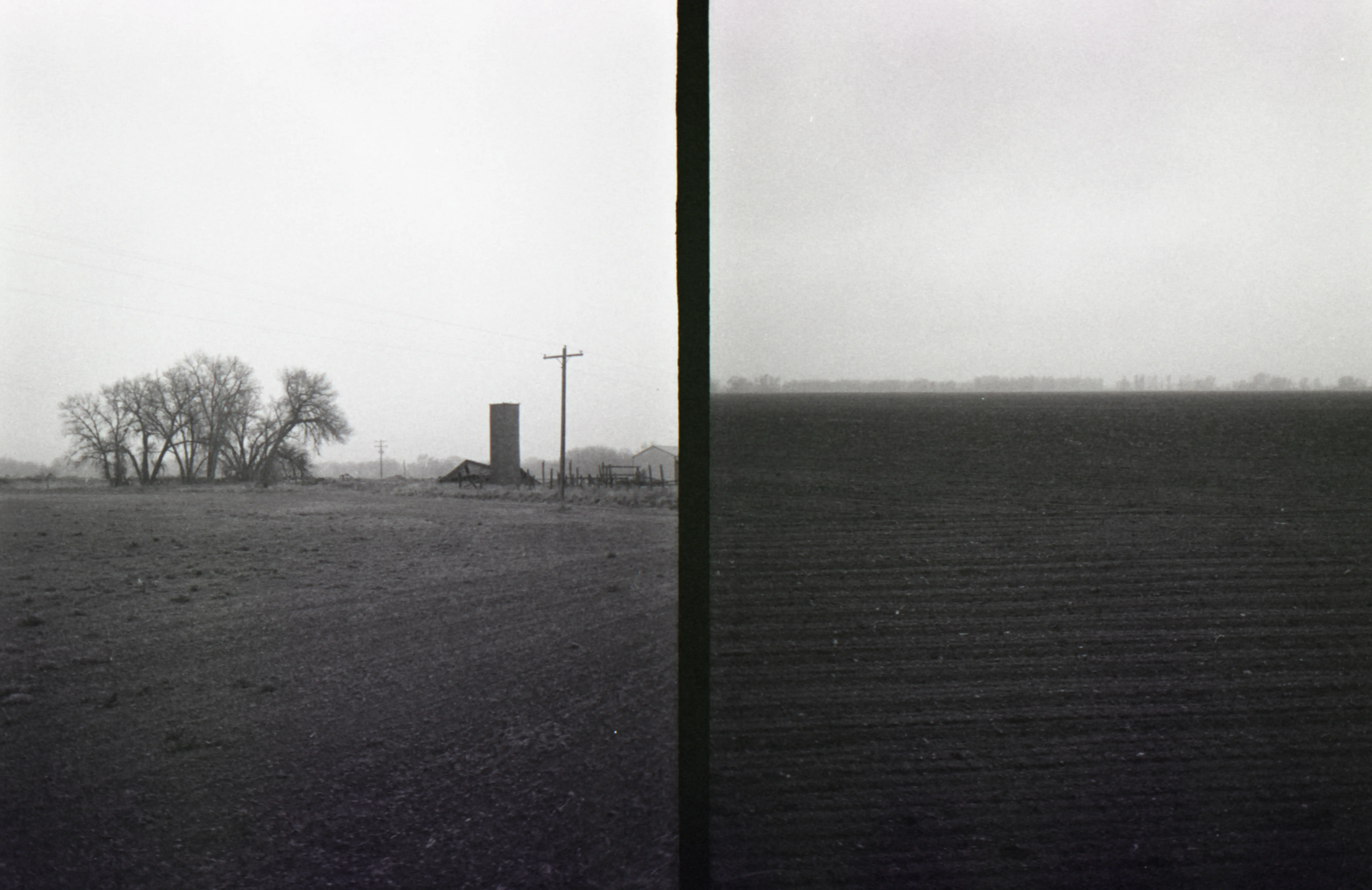 half Frame Fields